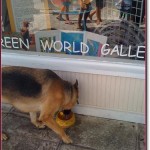 Happy Customers 4