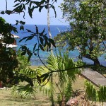 Garden View From The Cottage