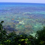 The Sea