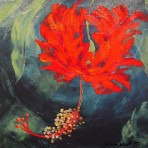 Red Flower