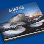 Sharks Up Close