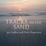 Tracks In The Sand